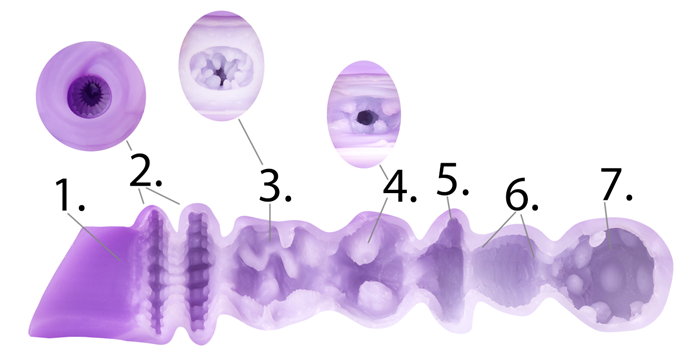 the inside of a sex toy