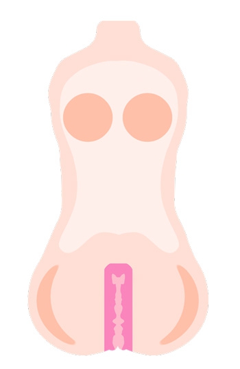 Layers of an onahip sex toy for men