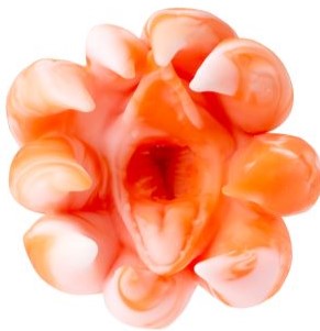 trou orange d'un jouet sexuel